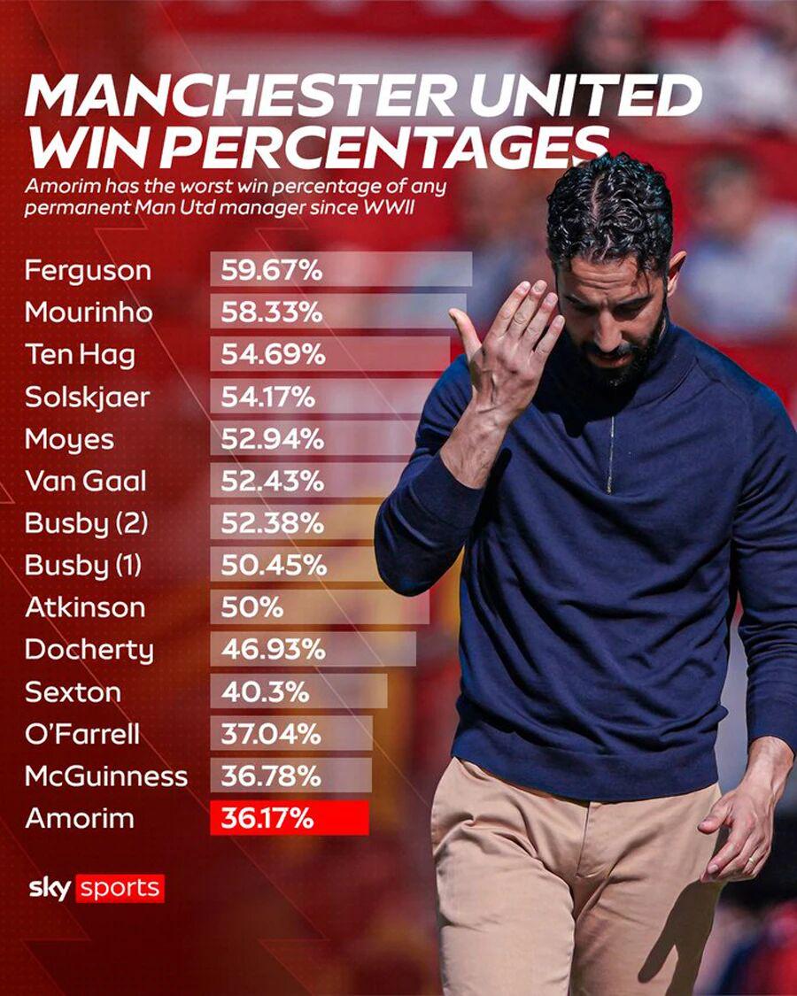 ccf, nkwj, 赢了 ccf, nkwj, 赢了